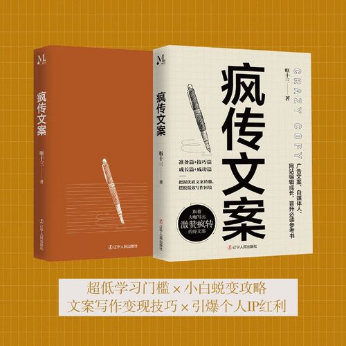 疯传文案的逻辑 从眼球的争夺到心智的占领